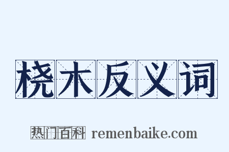桡木反义词是什么意思的图片